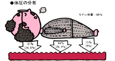 体圧の分布