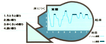 睡眠の仕組み